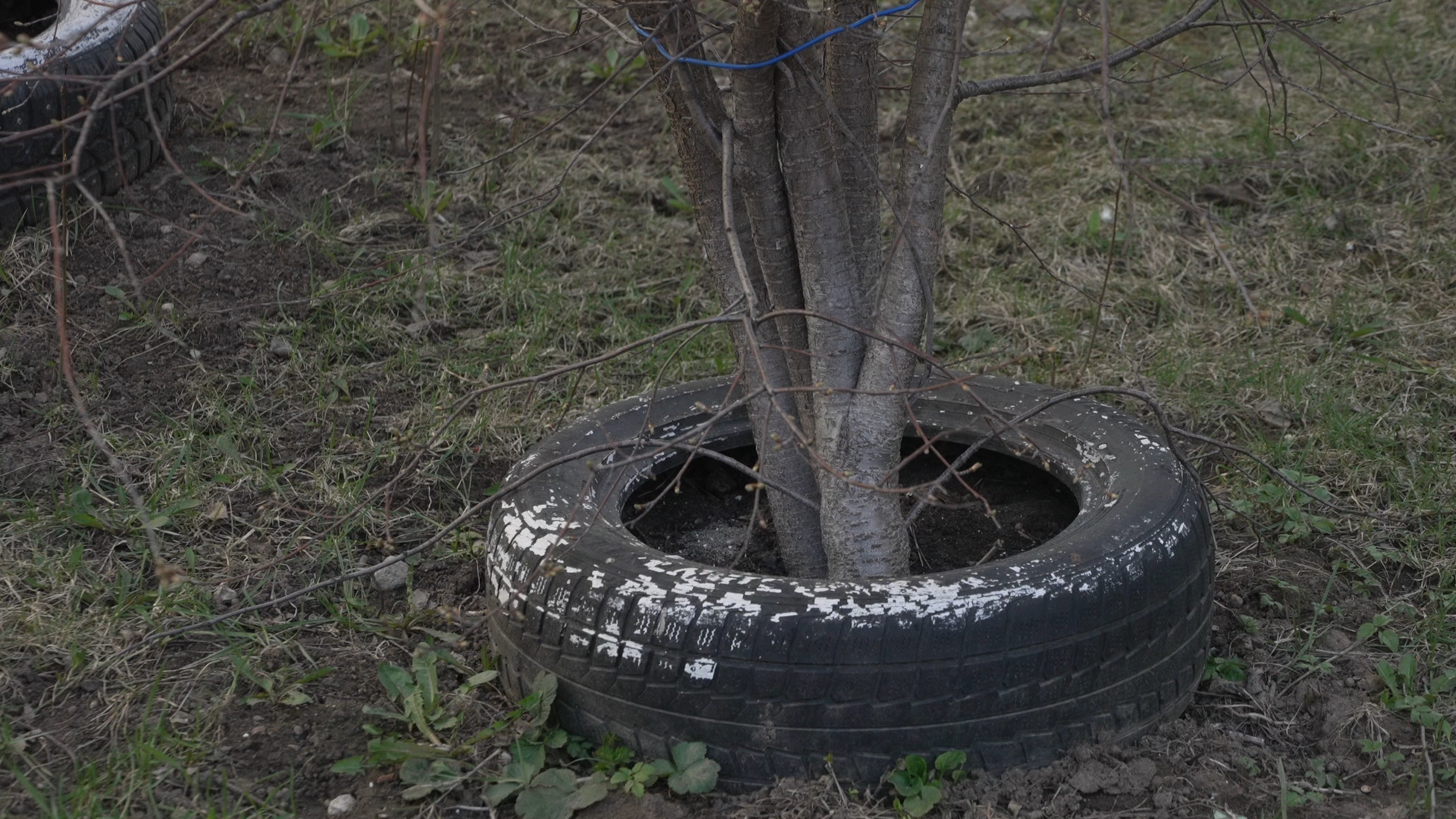 обход территории, власиха глава города, микрорайон заозерный власиха, власиха заозерный, благоустройство территории,