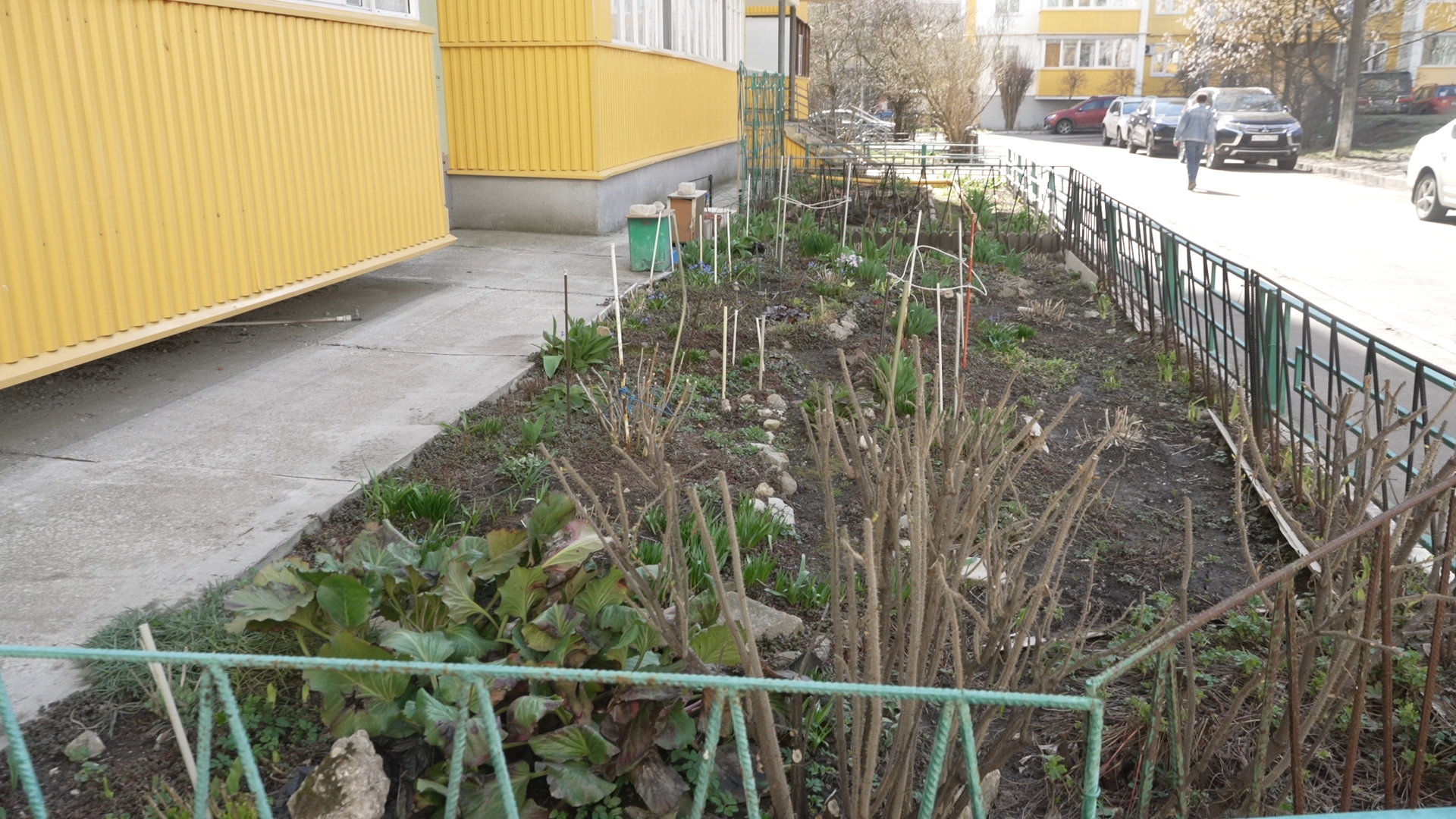 обход территории, власиха глава города, микрорайон заозерный власиха, власиха заозерный, благоустройство территории,