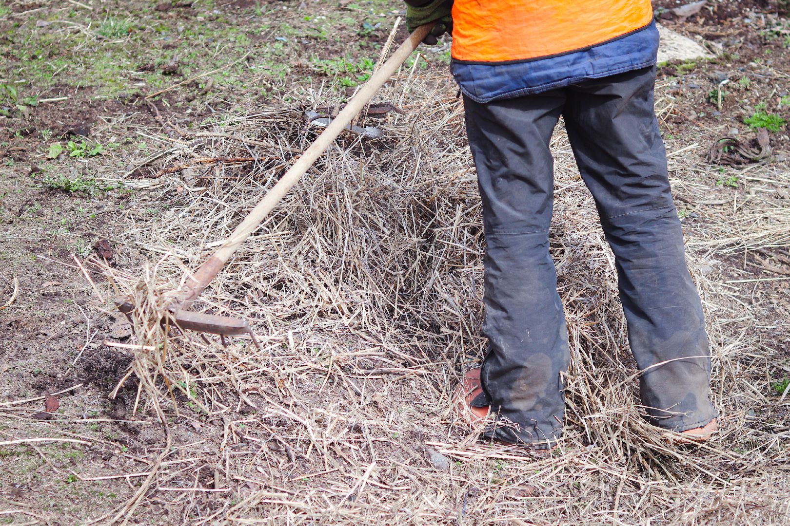 клин, общество, благоустройство, экономика, субботники,