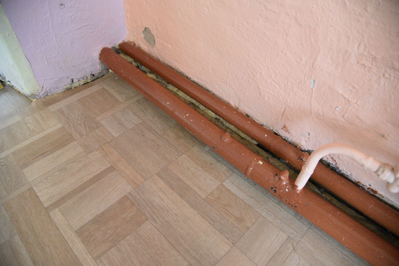 лотошино, кировский, дети, лотошинская школа 1,