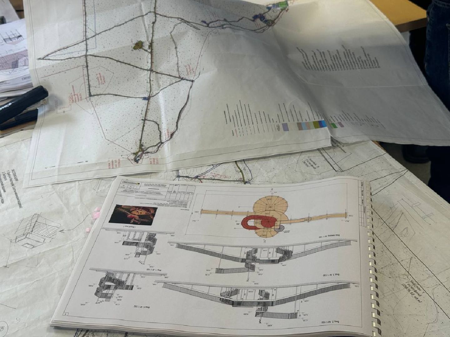 благоуйстройство, кучинский лесопарк, встреча администрации с жителями,