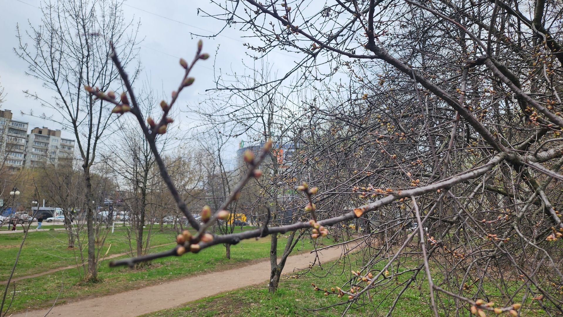 Люберцы, сквер на улице Побратимов, благоустройство, артист Леонид Серебренников,