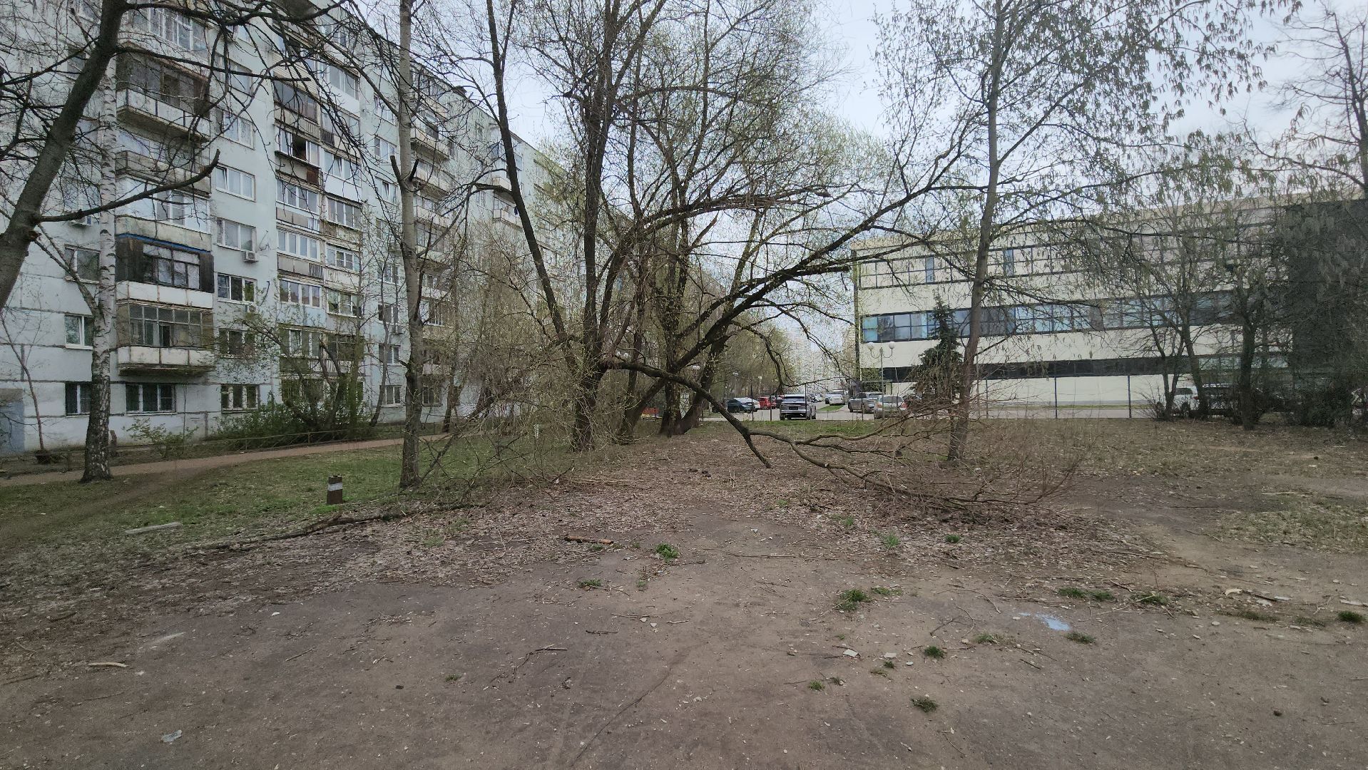 Люберцы, сквер на улице Побратимов, благоустройство, артист Леонид Серебренников,