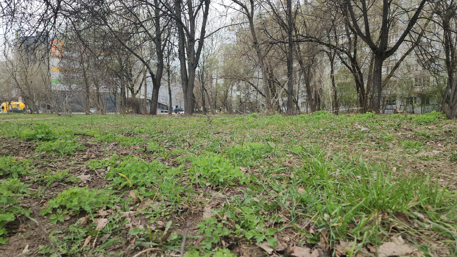 Люберцы, сквер на улице Побратимов, благоустройство, артист Леонид Серебренников,