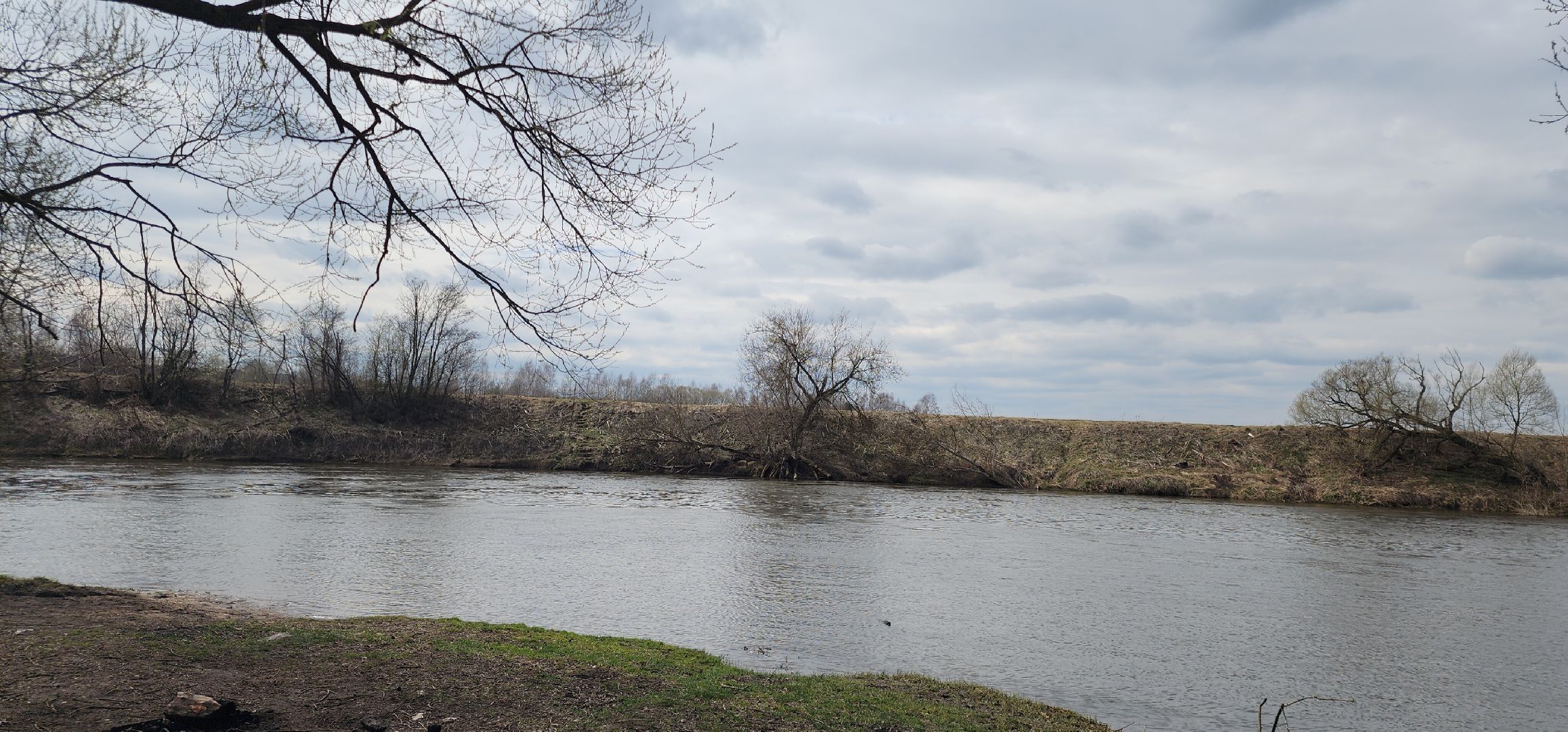Экология, Субботники Звенигород, Звенигород ,акции,