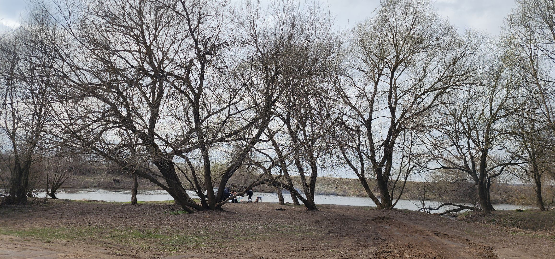 Экология, Субботники Звенигород, Звенигород ,акции,