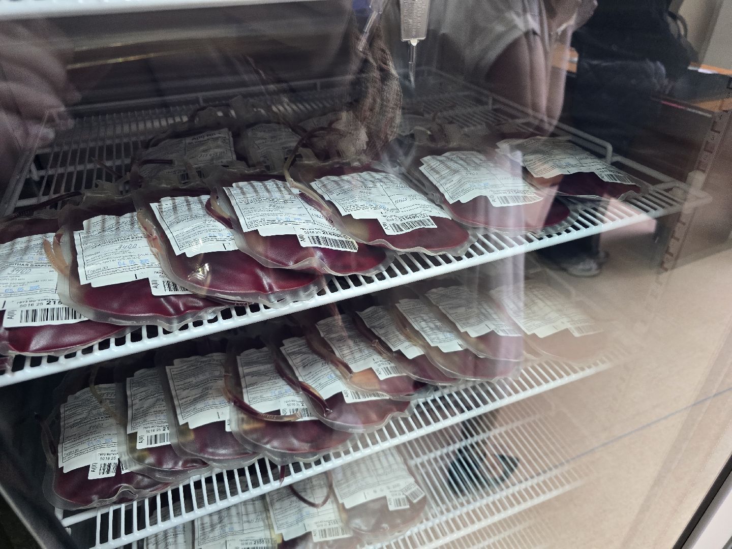 Коломна, день донора, переливание крови, сдача крови, молодая гвардия,