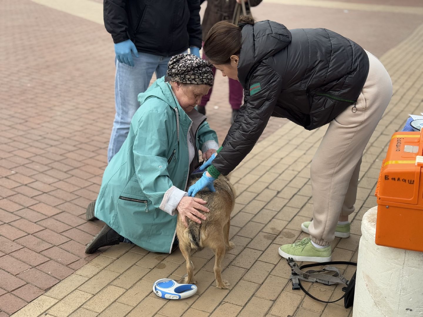 вакцинация животных, балашиха, пехорка, парк,