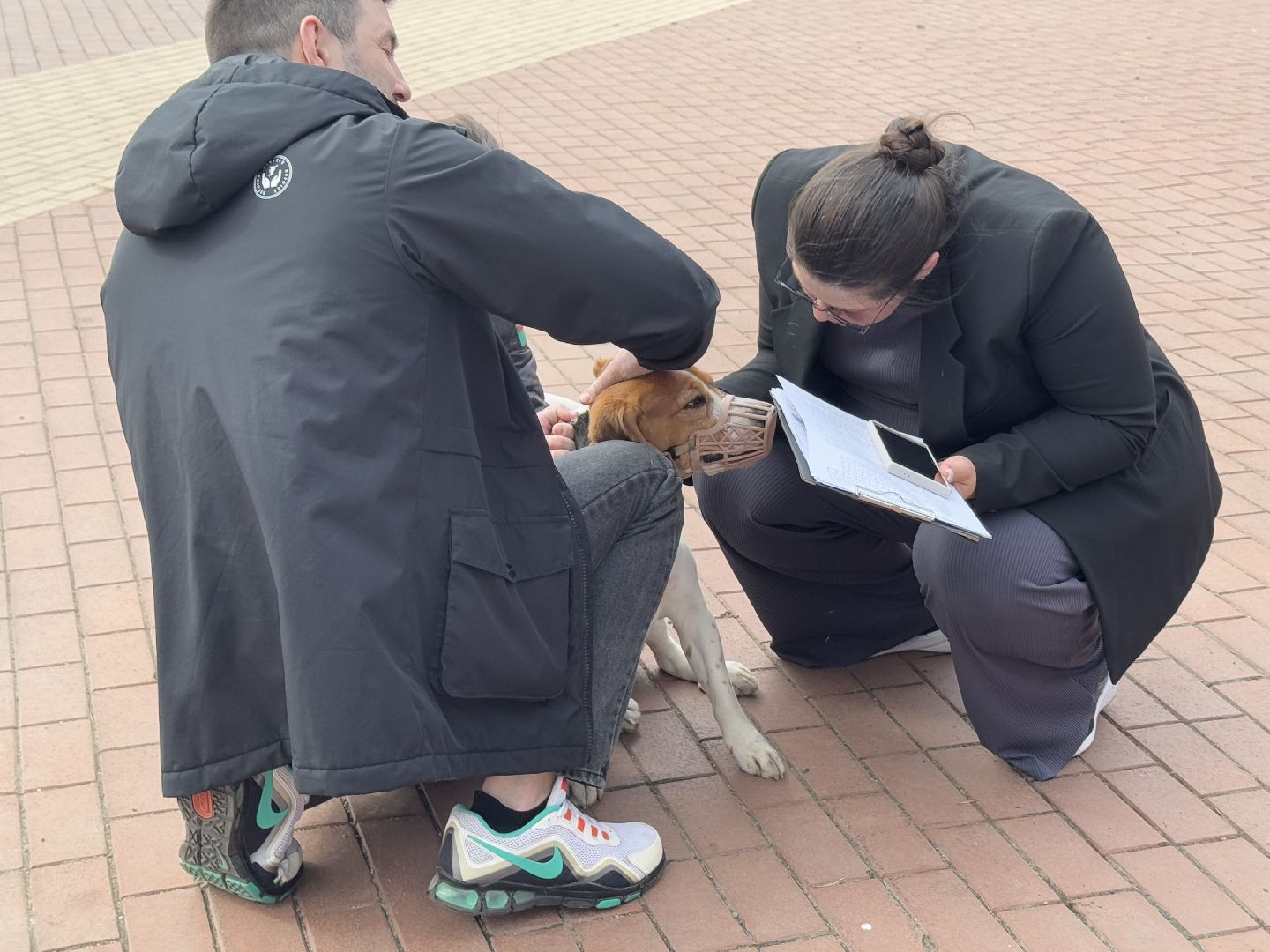 вакцинация животных, балашиха, пехорка, парк,