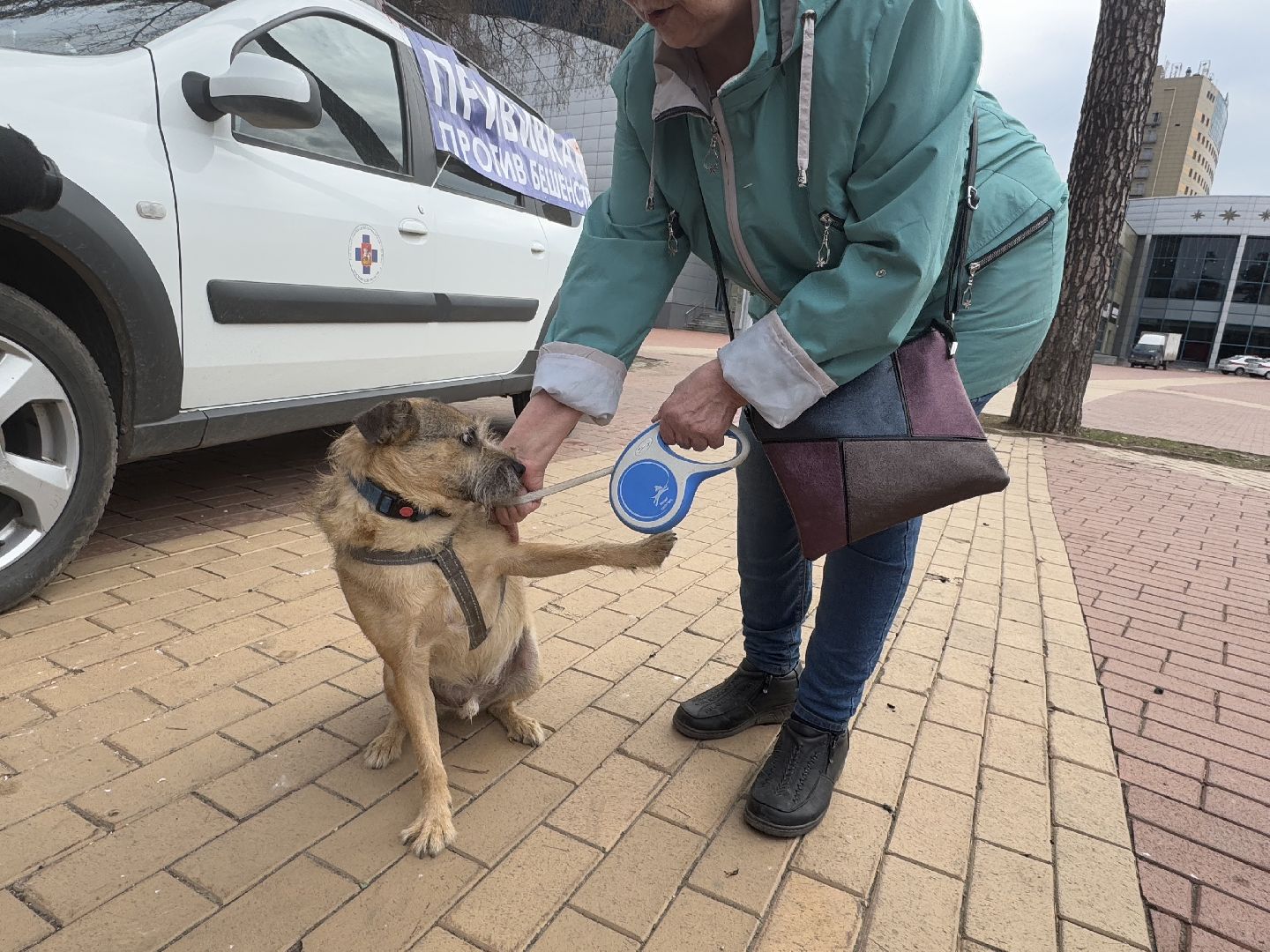 вакцинация животных, балашиха, пехорка, парк,