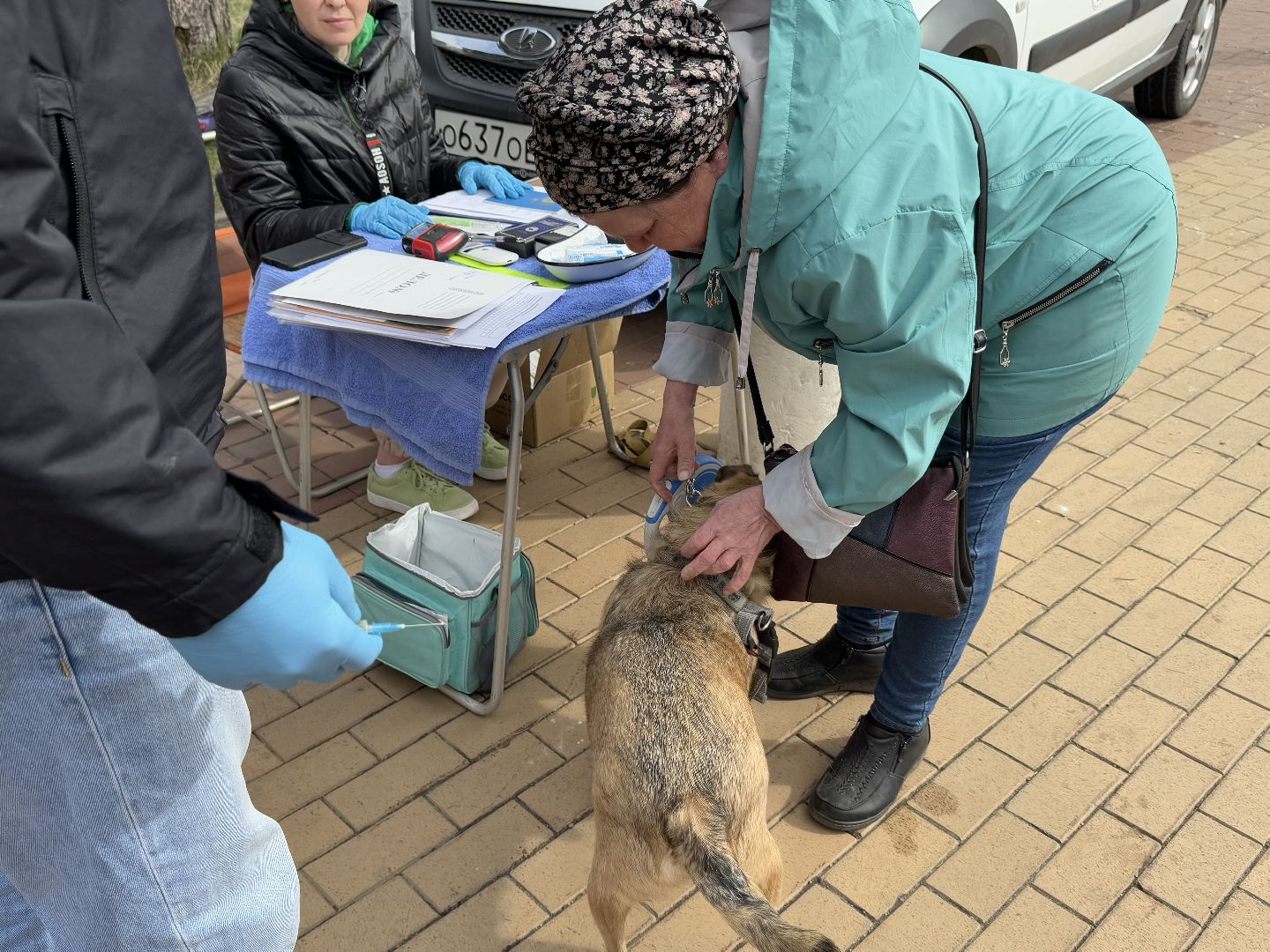 вакцинация животных, балашиха, пехорка, парк,