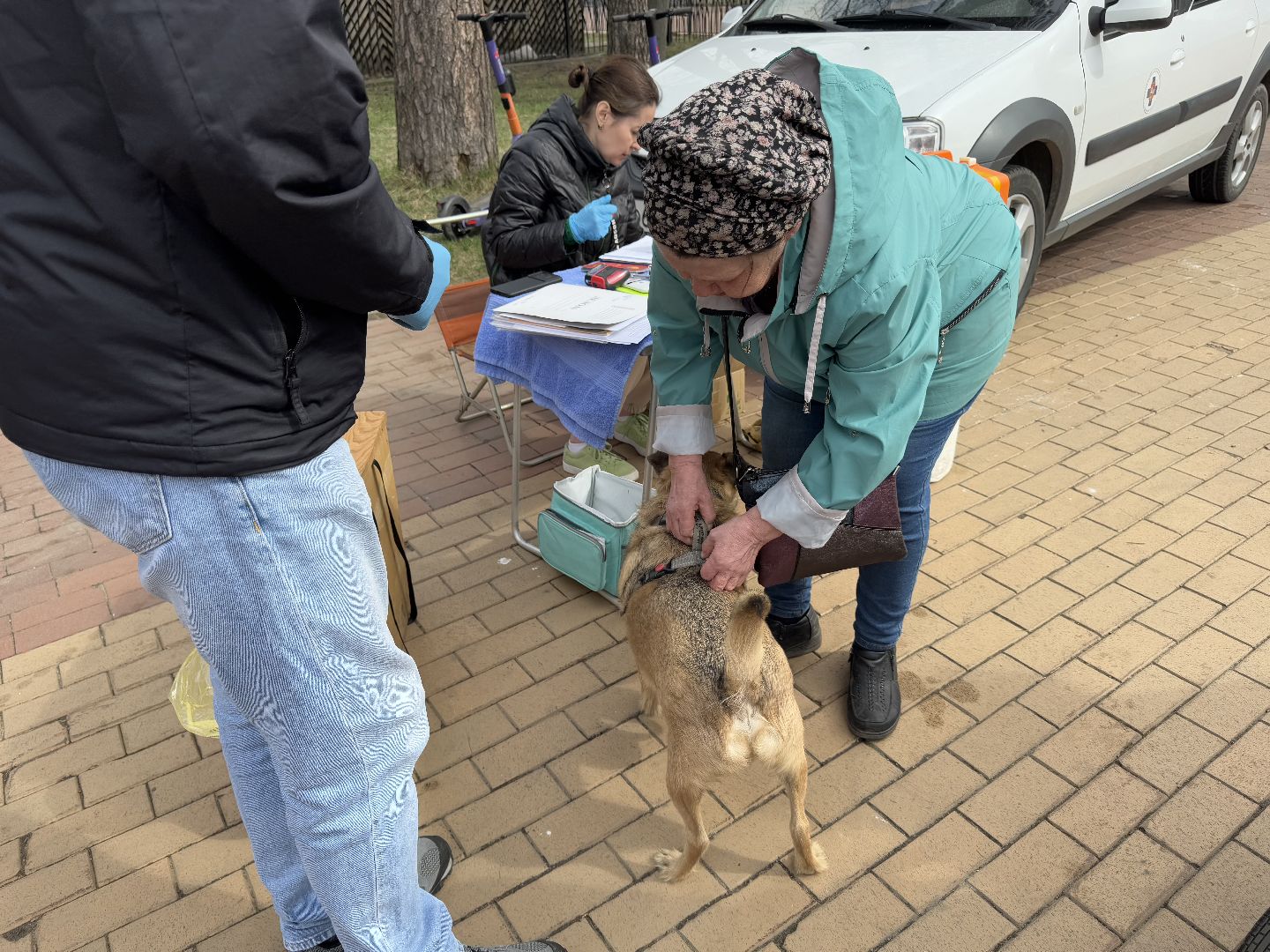 вакцинация животных, балашиха, пехорка, парк,