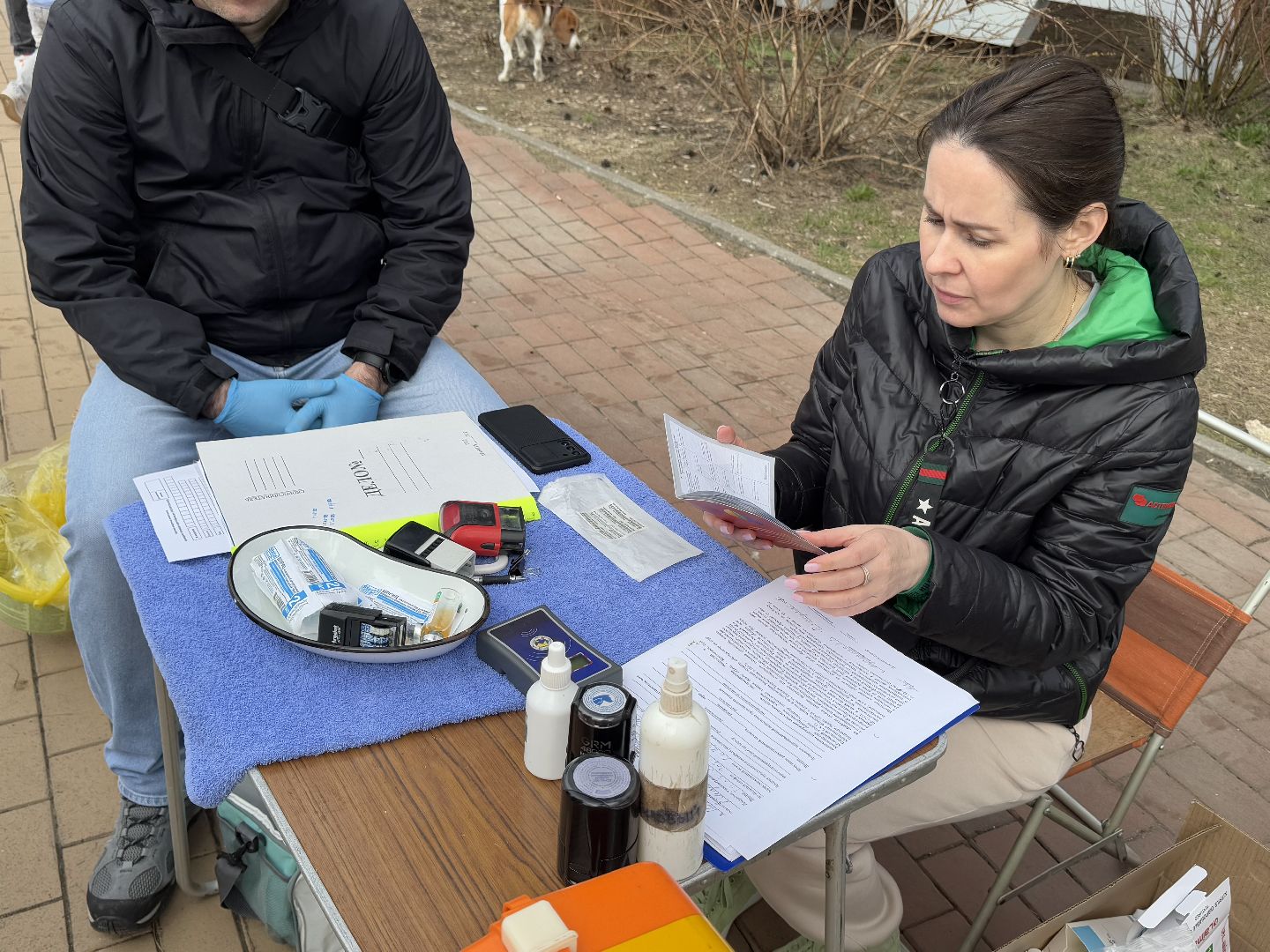 вакцинация животных, балашиха, пехорка, парк,