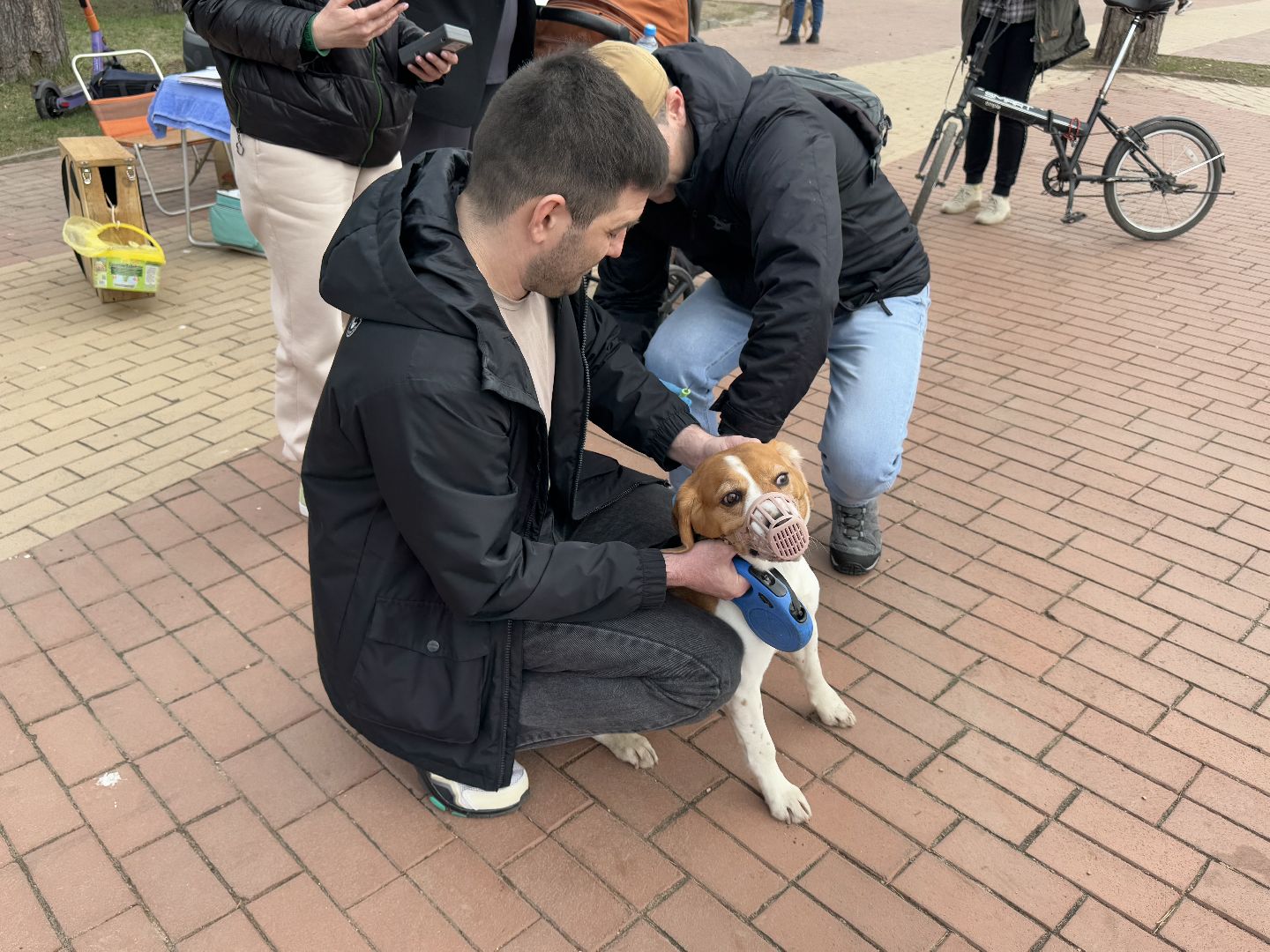 вакцинация животных, балашиха, пехорка, парк,