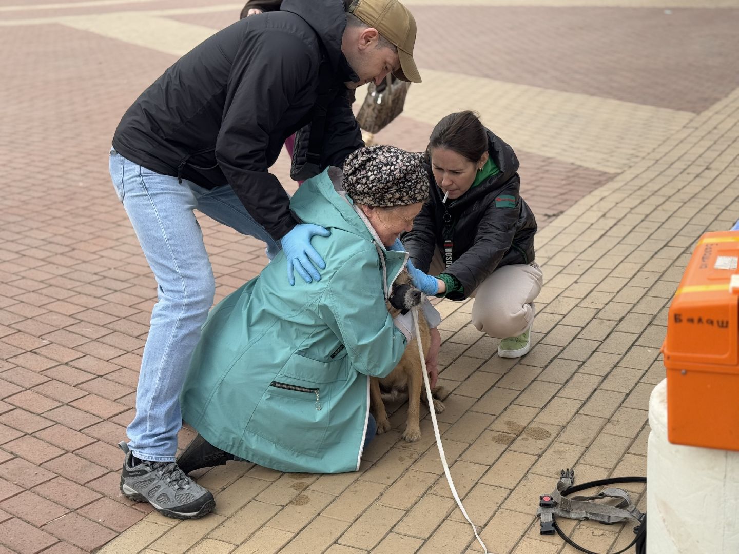 вакцинация животных, балашиха, пехорка, парк,