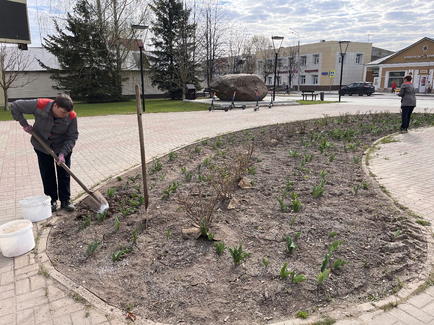 Шаховская, клумбы, благоустройство