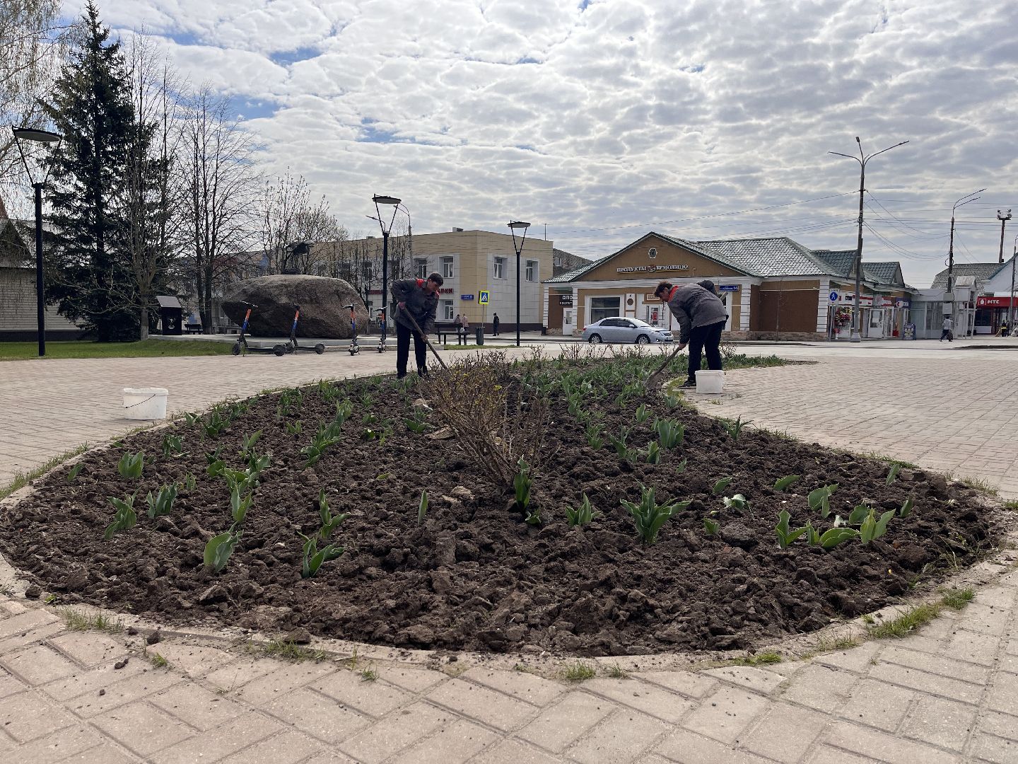 Шаховская, клумбы, благоустройство