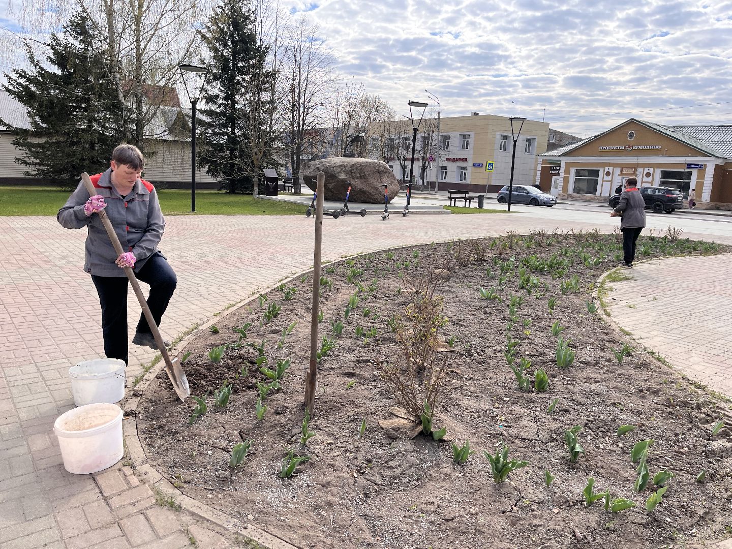 Шаховская, клумбы, благоустройство