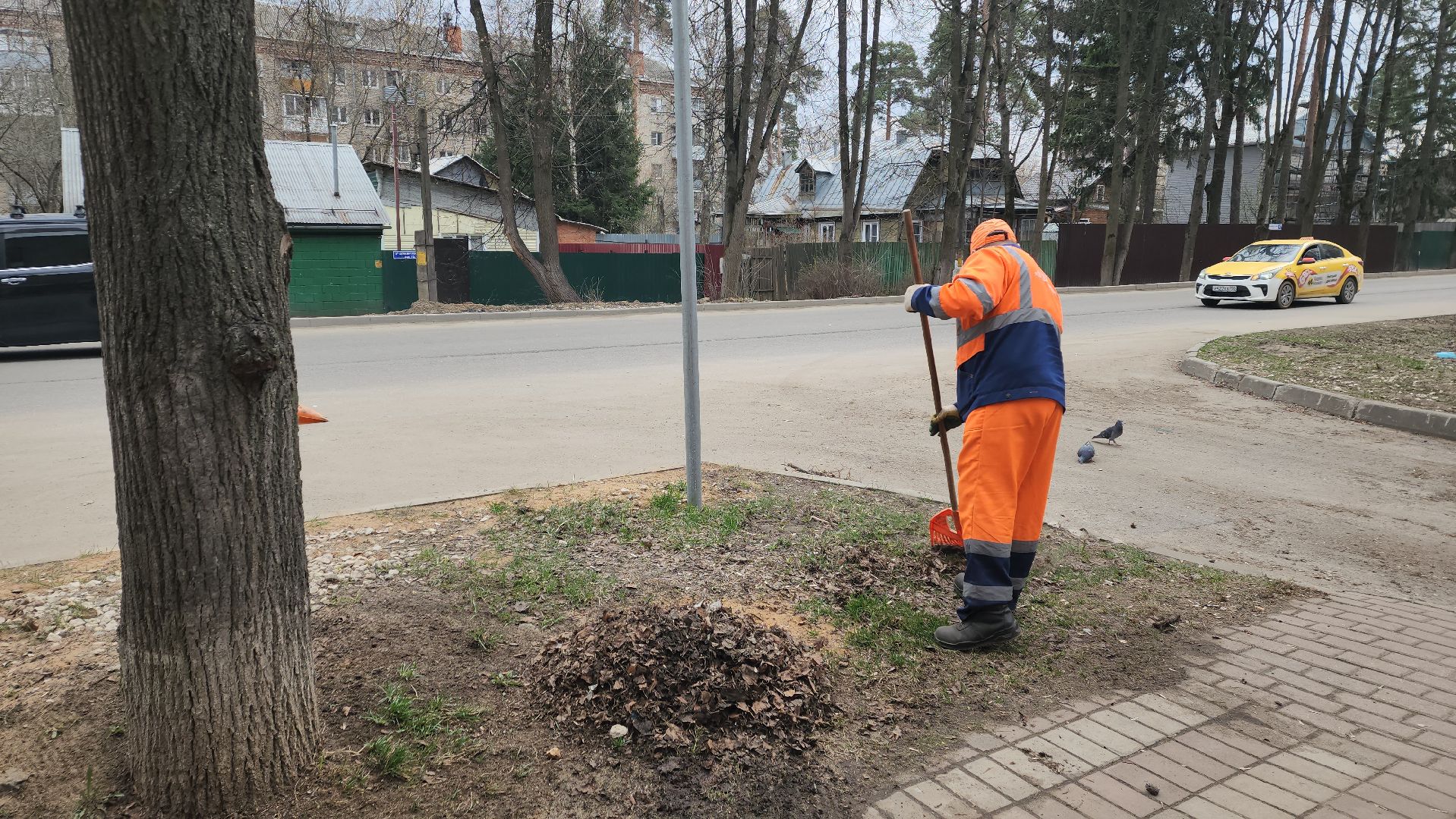 пушкино, уборка территорий, коммунальная служба, мои документы, уборка газонов,вертикалки,