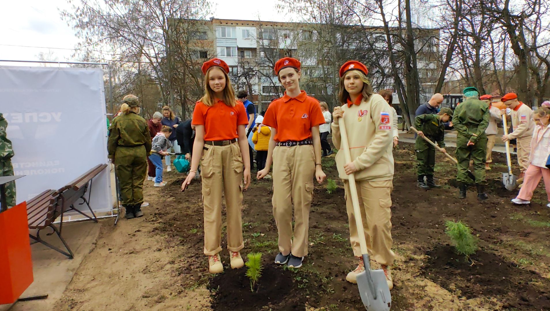 кедр, яблоня, акция, посадка деревьев,