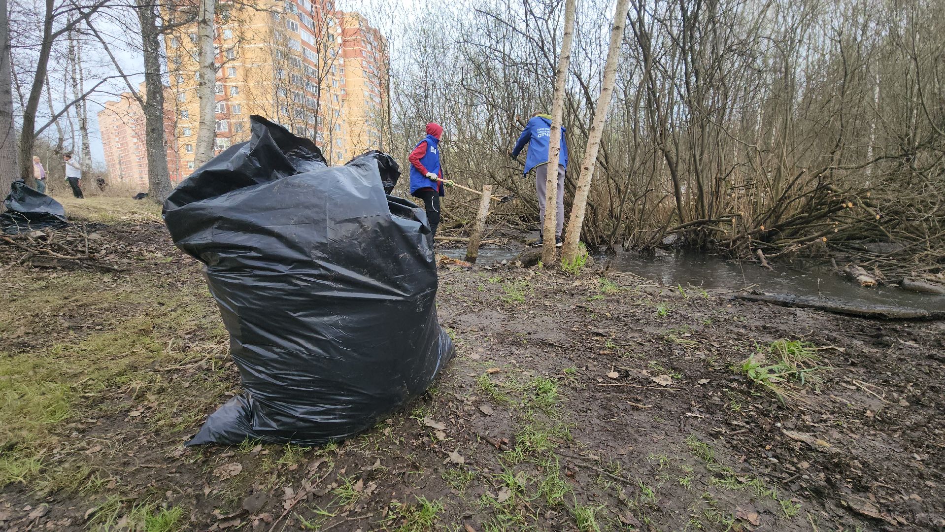 субботник, очистка водоема, Река, Лобня,
