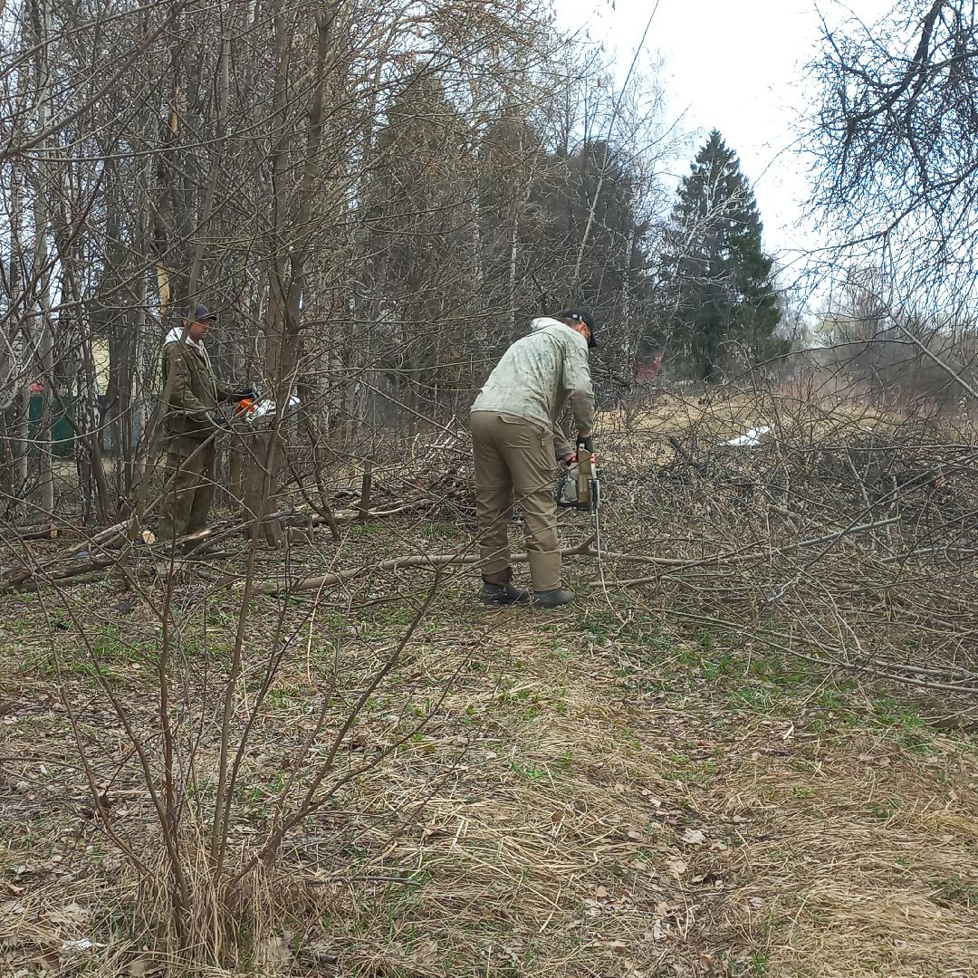 сергиев посад, хотьково, благоуйстройство, субботник, опиловка деревьев,