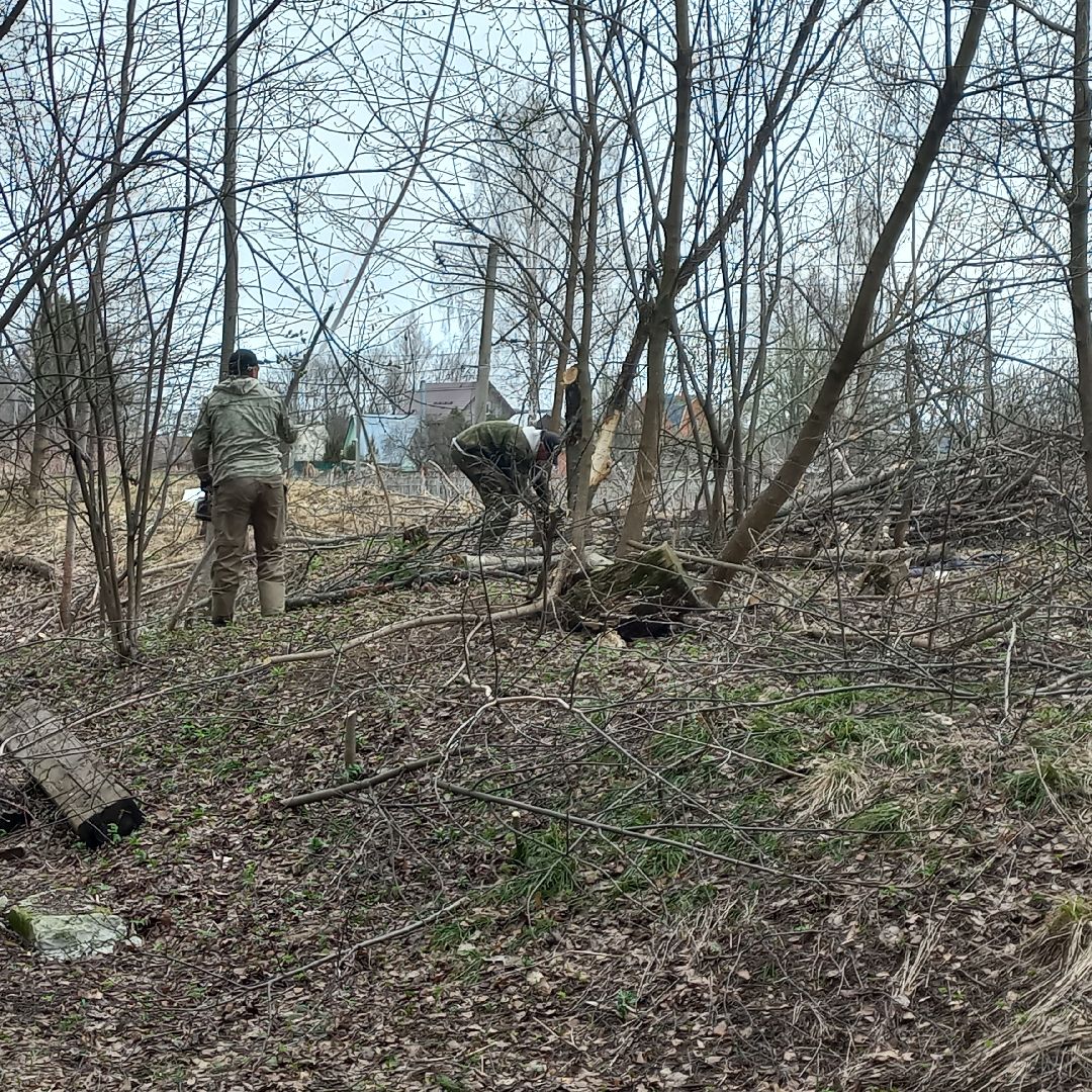 сергиев посад, хотьково, благоуйстройство, субботник, опиловка деревьев,