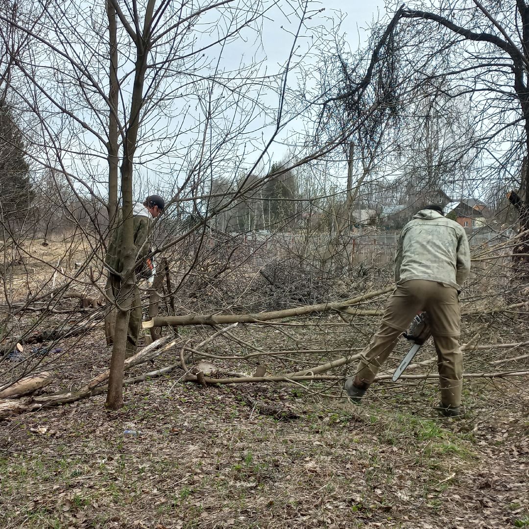 сергиев посад, хотьково, благоуйстройство, субботник, опиловка деревьев,