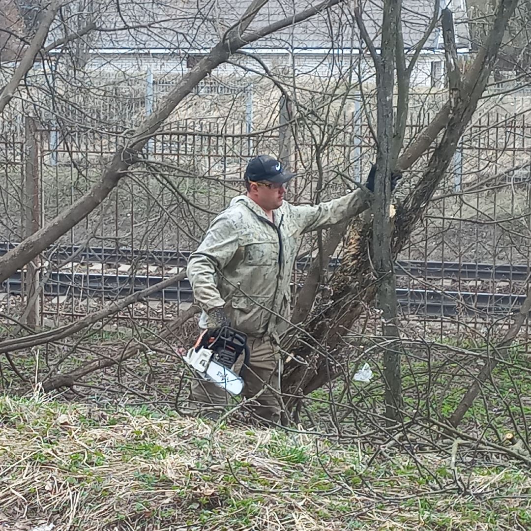 сергиев посад, хотьково, благоуйстройство, субботник, опиловка деревьев,