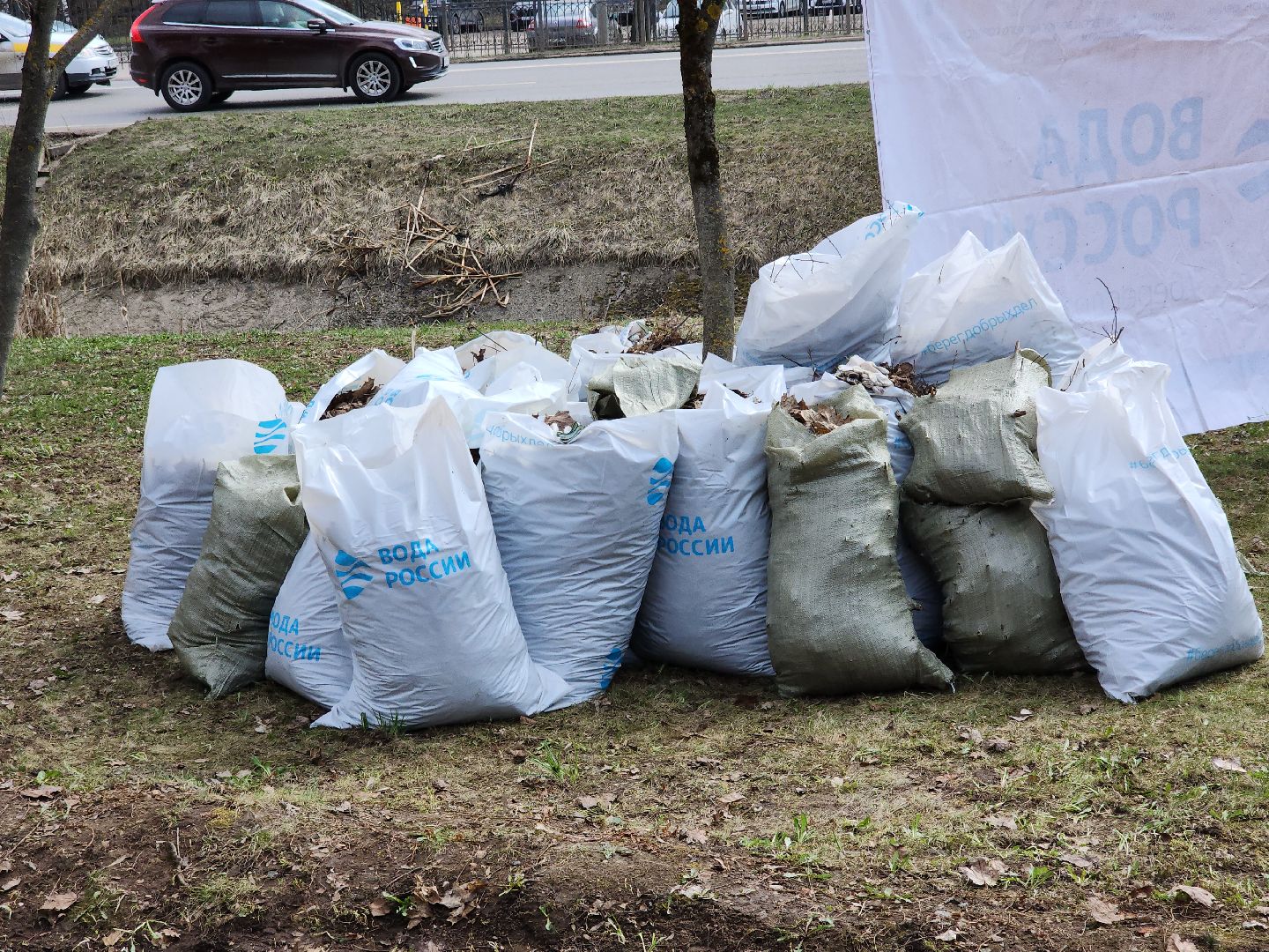 сергиев посад, кончура, очистка водоема, вода россии,