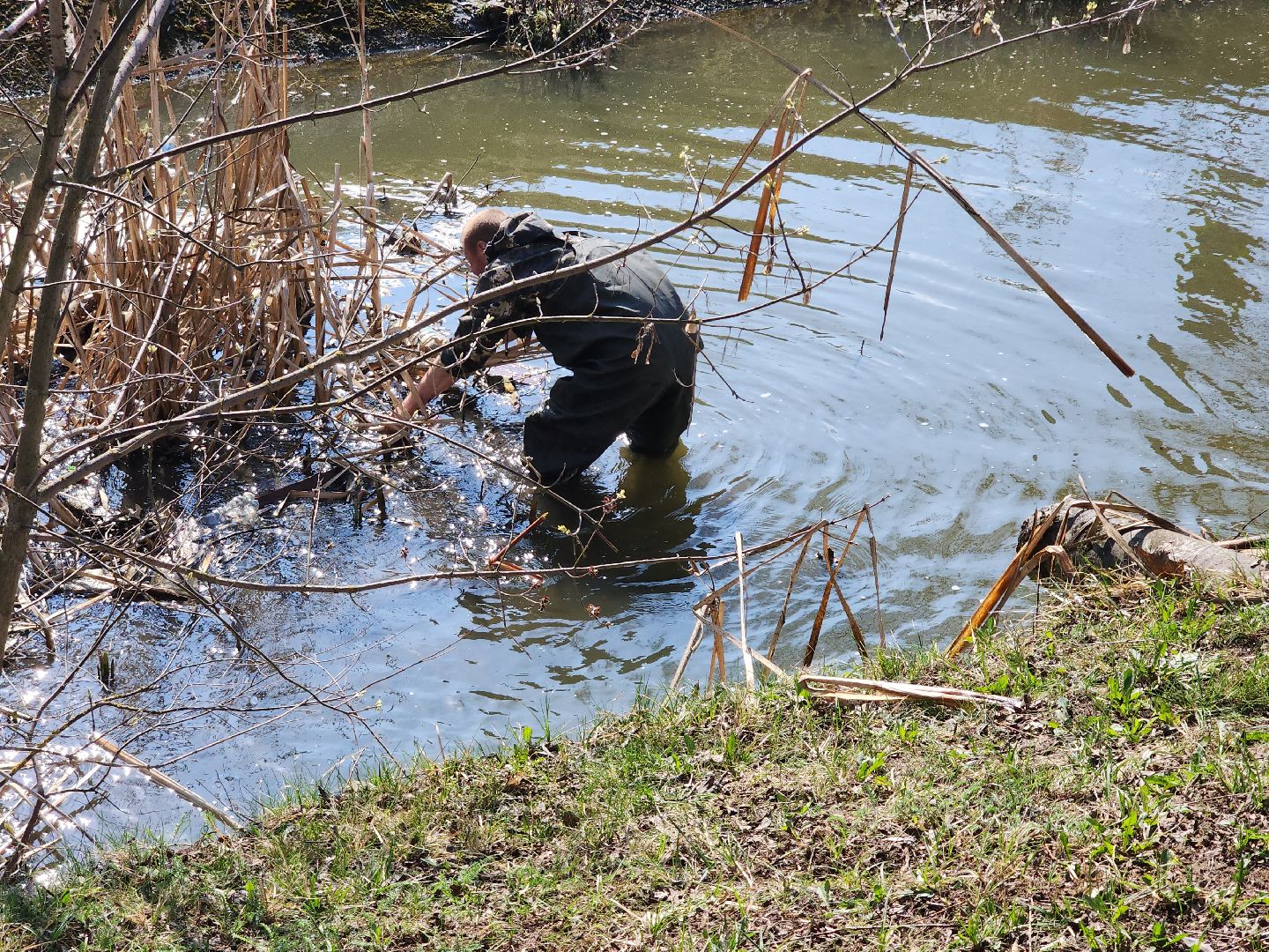 сергиев посад, кончура, очистка водоема, вода россии,