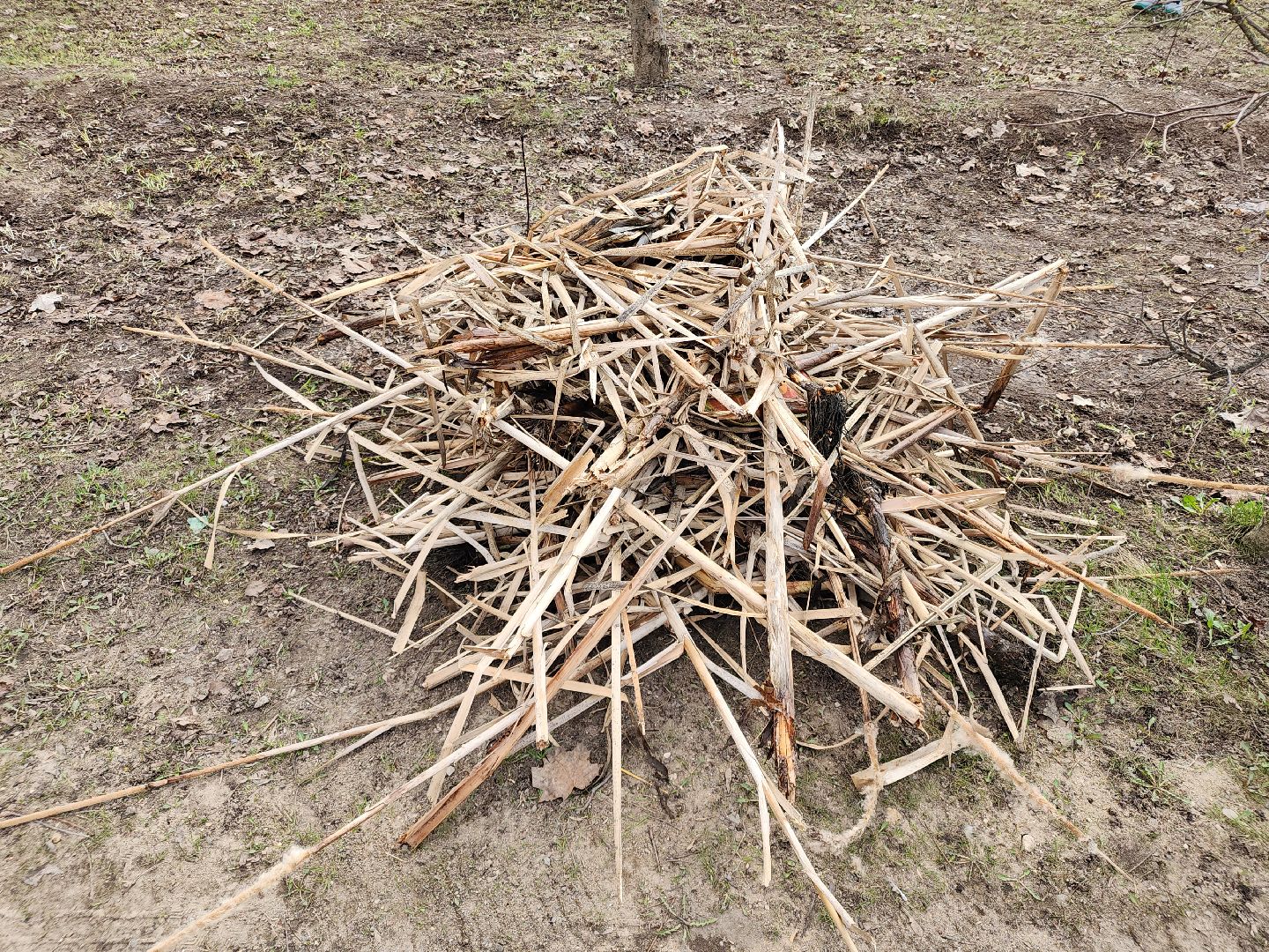 сергиев посад, кончура, очистка водоема, вода россии,