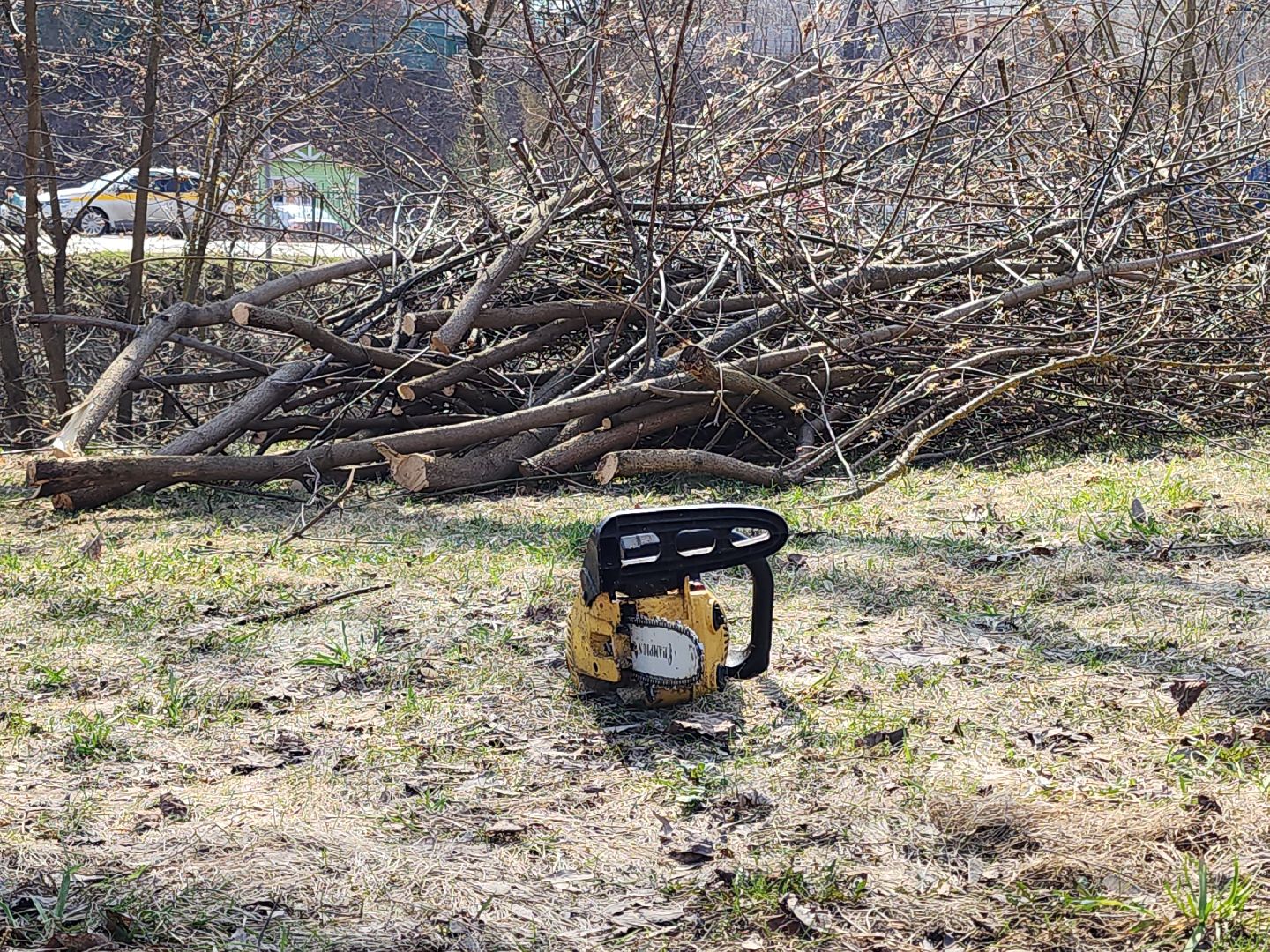 сергиев посад, кончура, очистка водоема, вода россии,