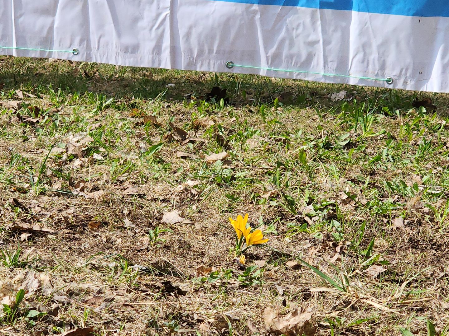 сергиев посад, кончура, очистка водоема, вода россии,