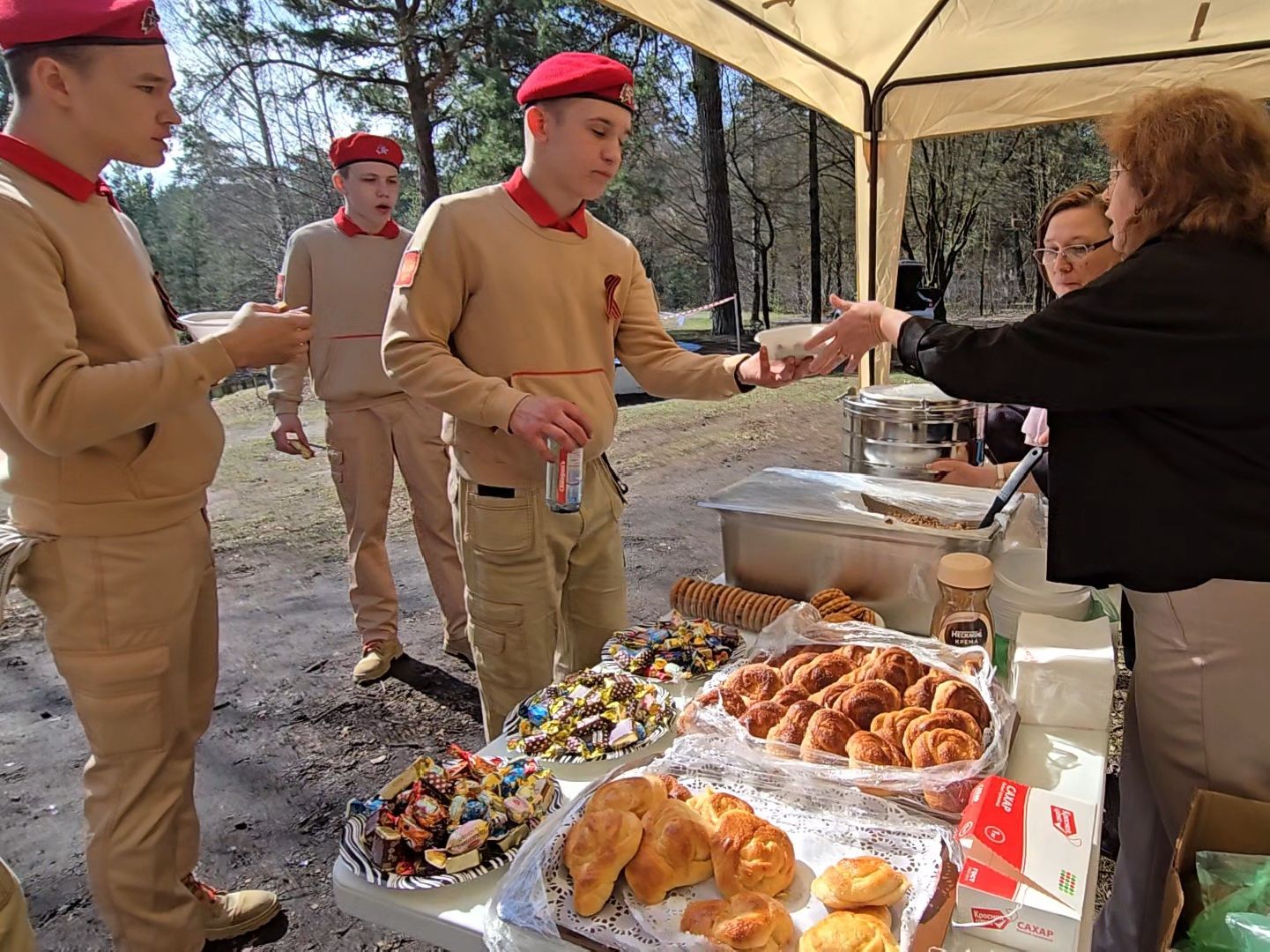 Коломна, кедры россии, высадка деревьев,