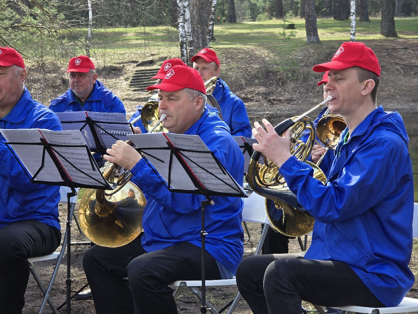 Коломна, кедры россии, высадка деревьев,