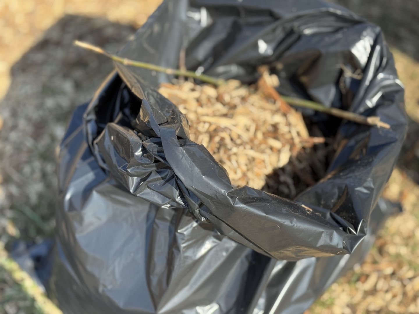 балашиха, субботник, новый милет,