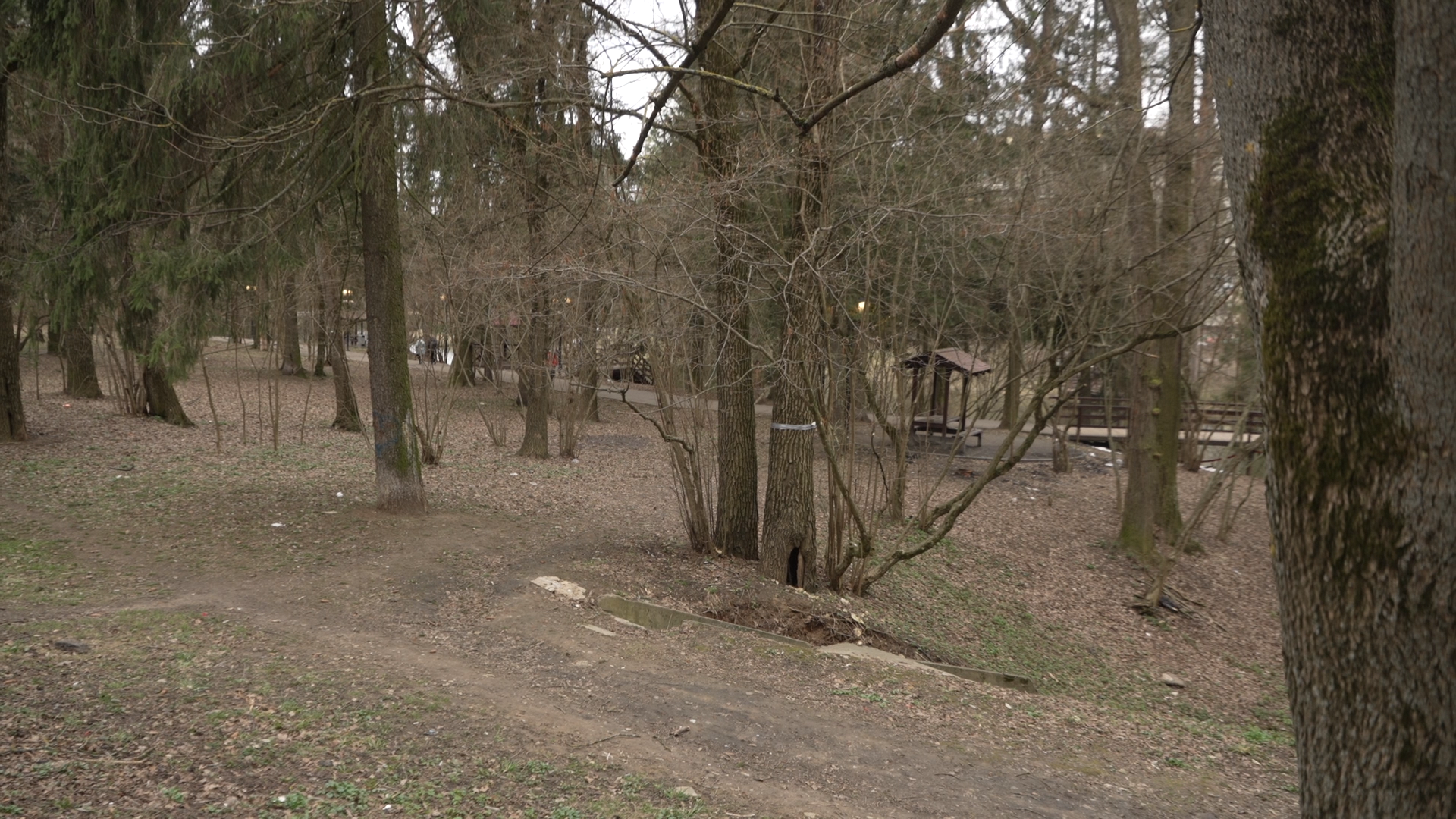 уличные фонари, свет на улице, Власиха фонари, освещение улиц, Власиха цветной бульвар,