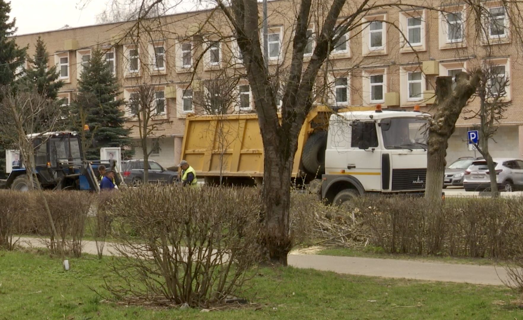 Клин, благоустройство, люди, опиловка