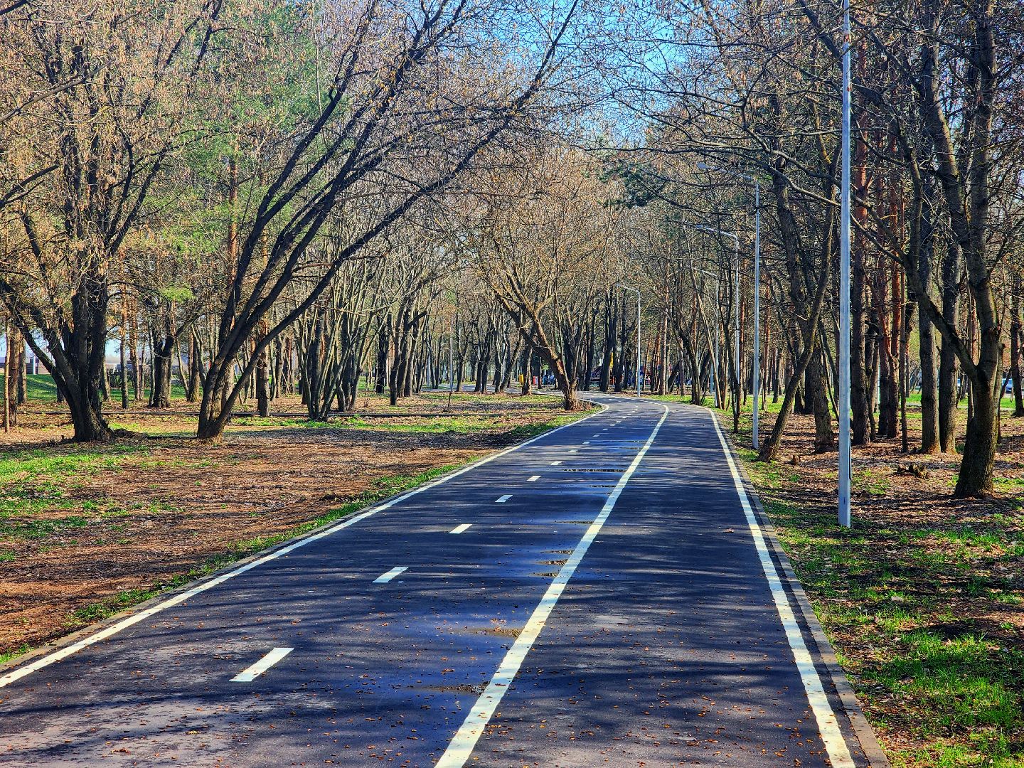 дубна, набережная, субботник, мы за чистоту, волонтеры подмосковья, молодая гвардия,