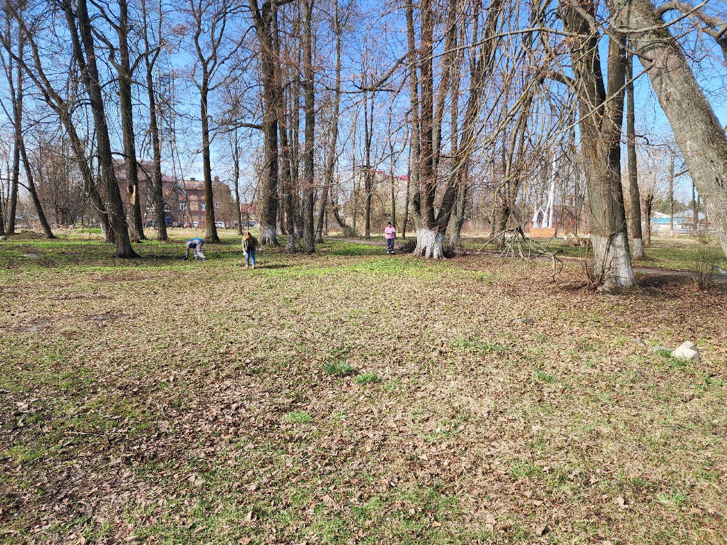 субботник, шатура, шатурская грэс, благоустройство,