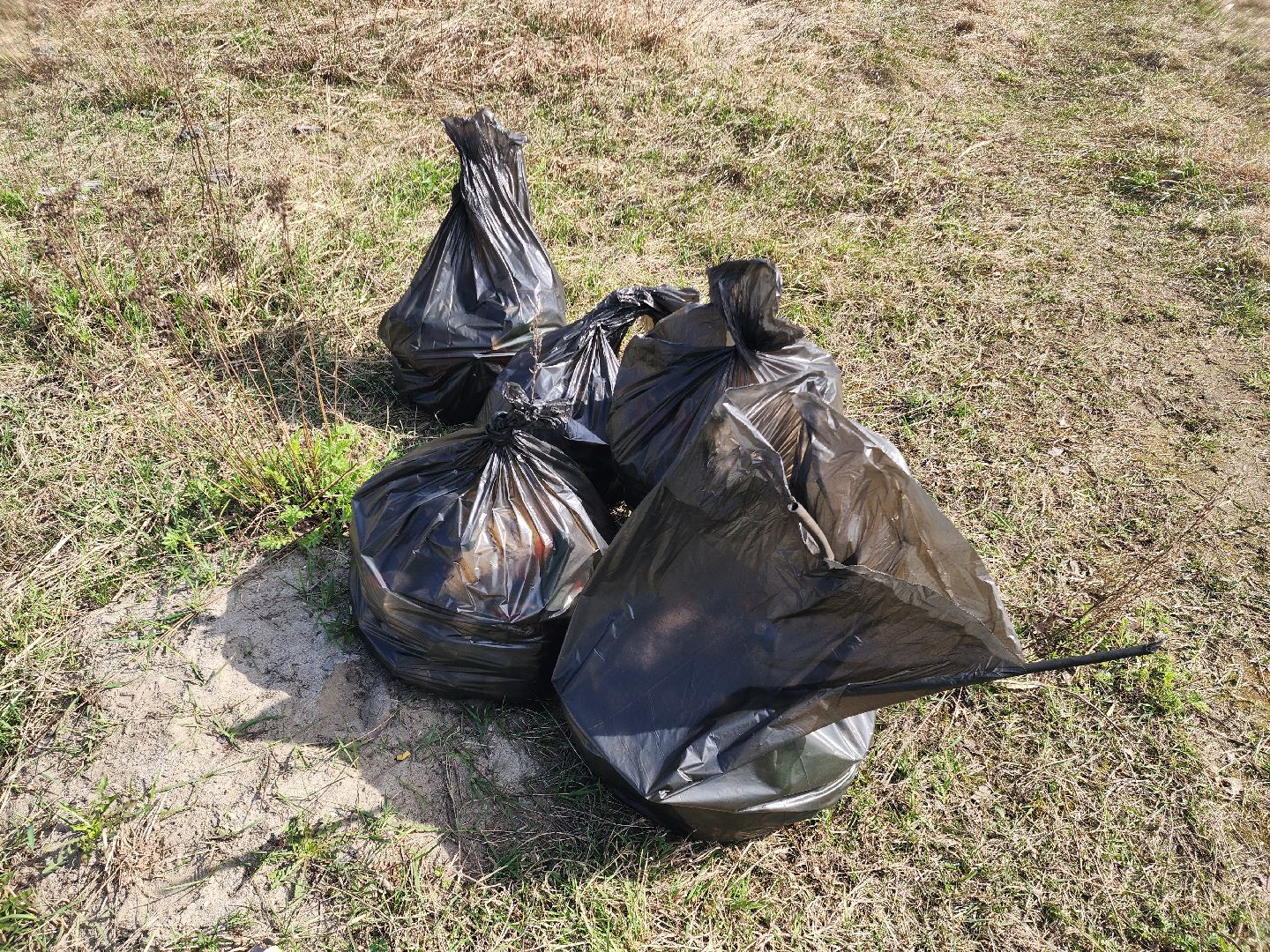 субботник, шатура, шатурская грэс, благоустройство,