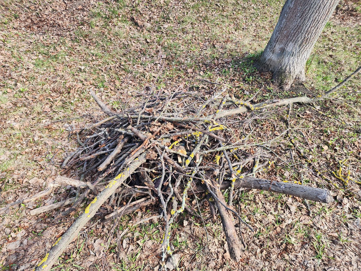 субботник, шатура, шатурская грэс, благоустройство,