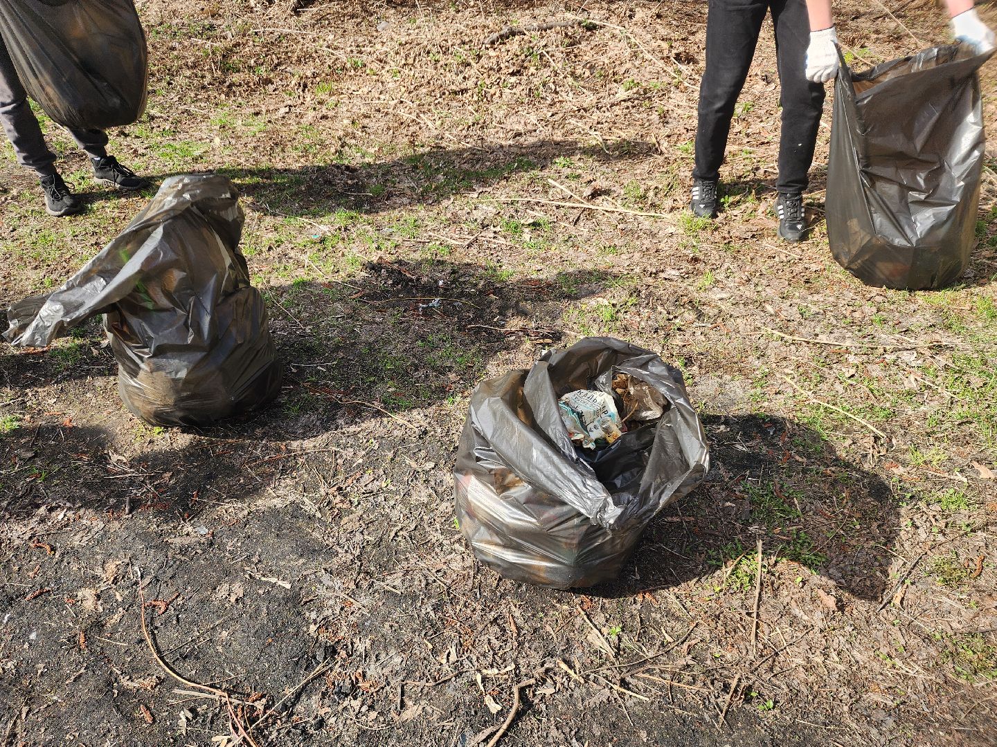 субботник, шатура, шатурская грэс, благоустройство,