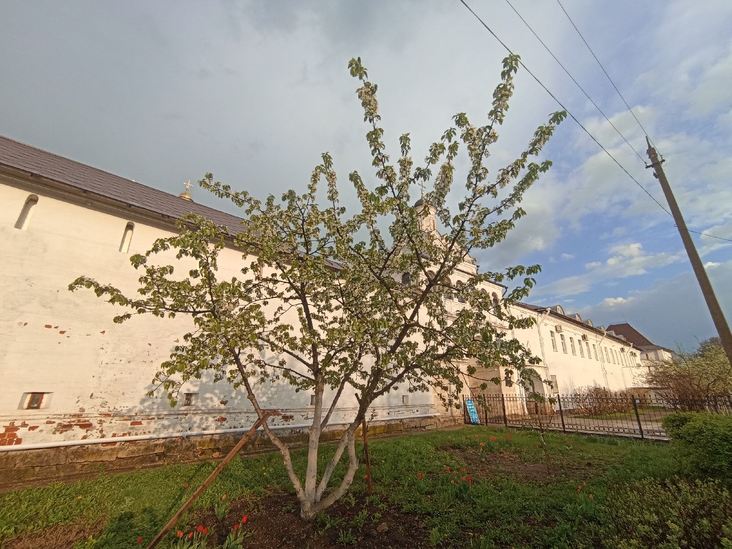 Серпухов, Подмосковье, монастырь, весна, тюльпаны, цветение, черешня, туризм, православие, поломничество