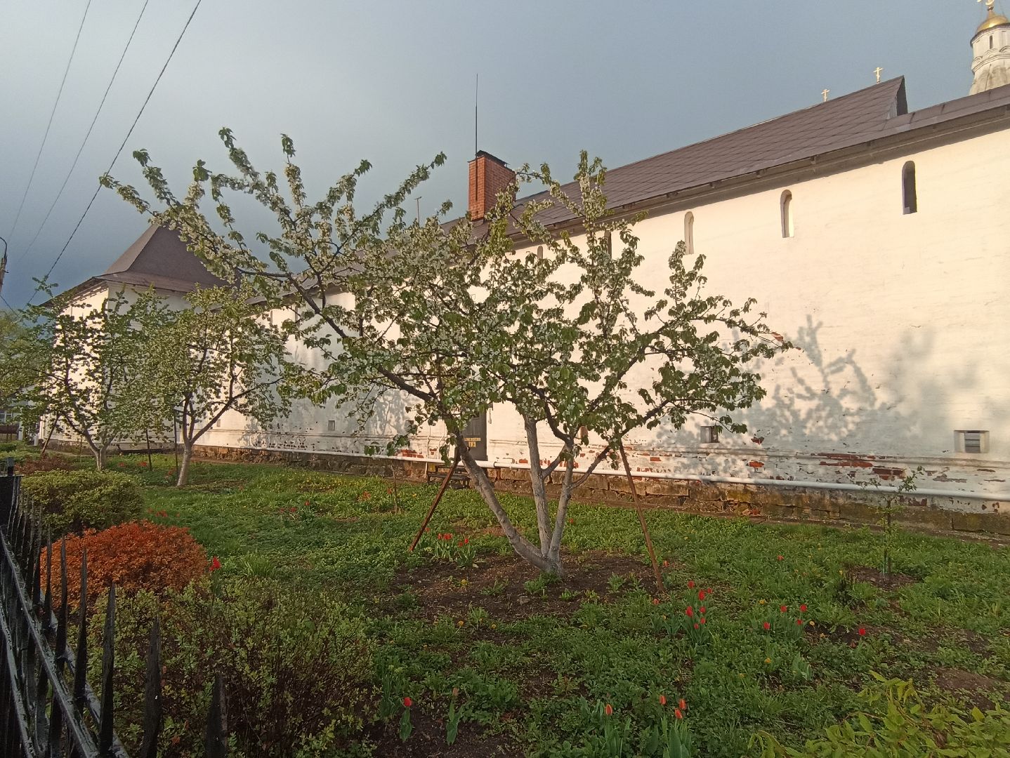 Серпухов, Подмосковье, монастырь, весна, тюльпаны, цветение, черешня, туризм, православие, поломничество