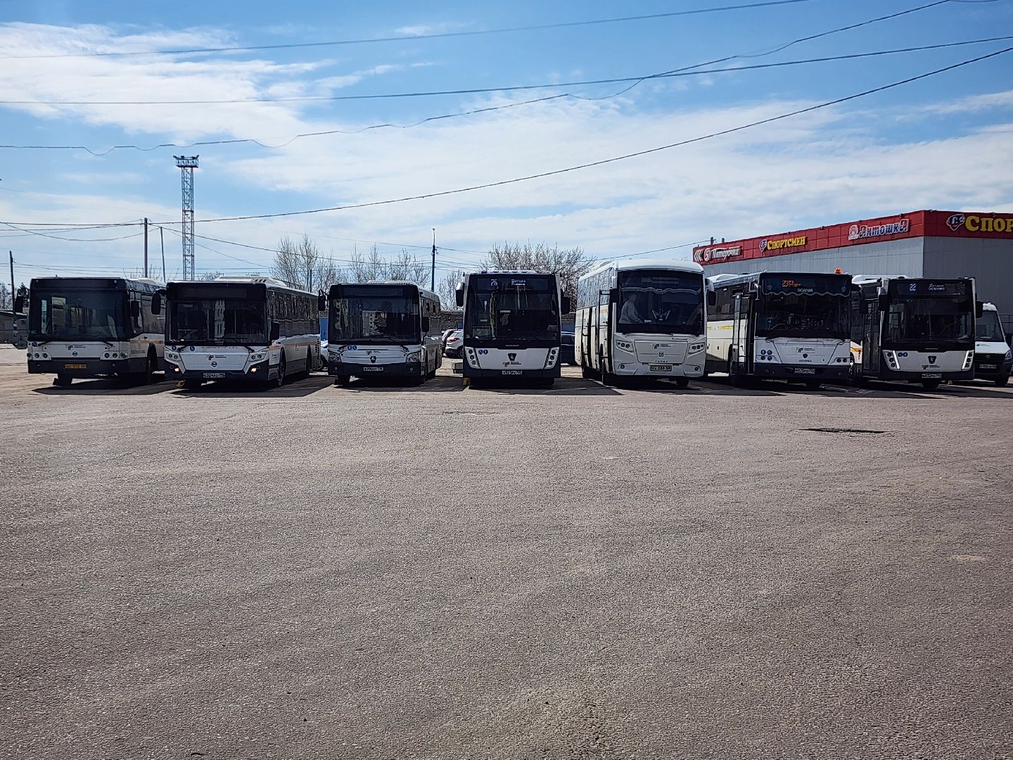 транспорт, шатурское патп, шатура, автобусы, пасха,