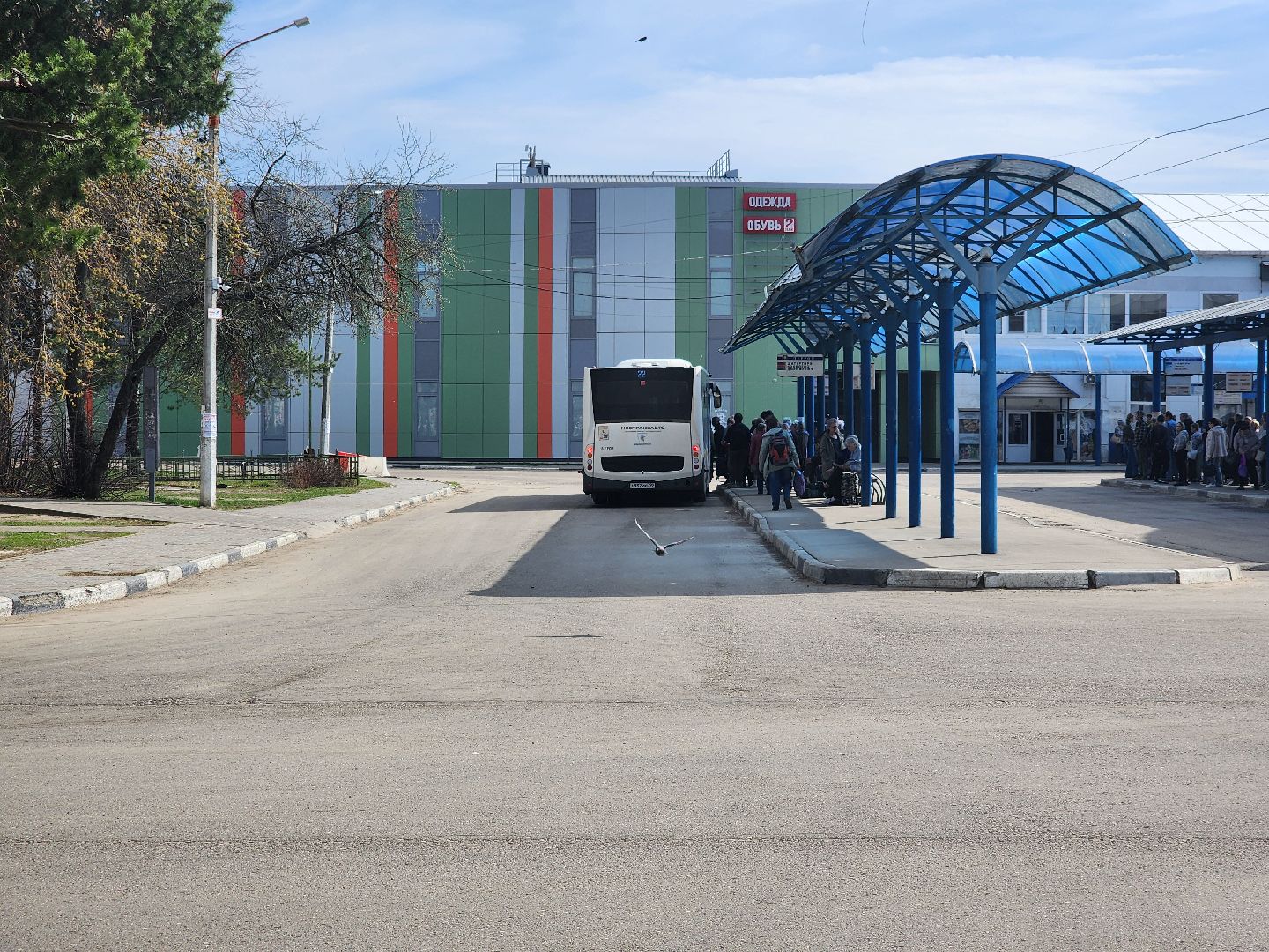 транспорт, шатурское патп, шатура, автобусы, пасха,