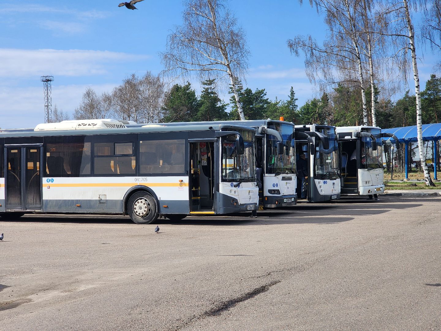 транспорт, шатурское патп, шатура, автобусы, пасха,