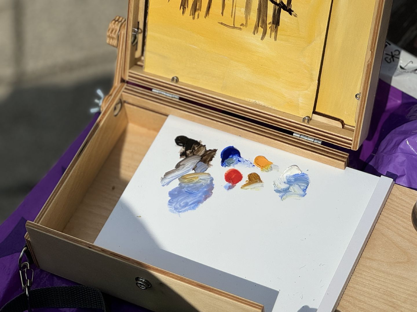 художница, ассоциация художников-пленэристов, портрет,